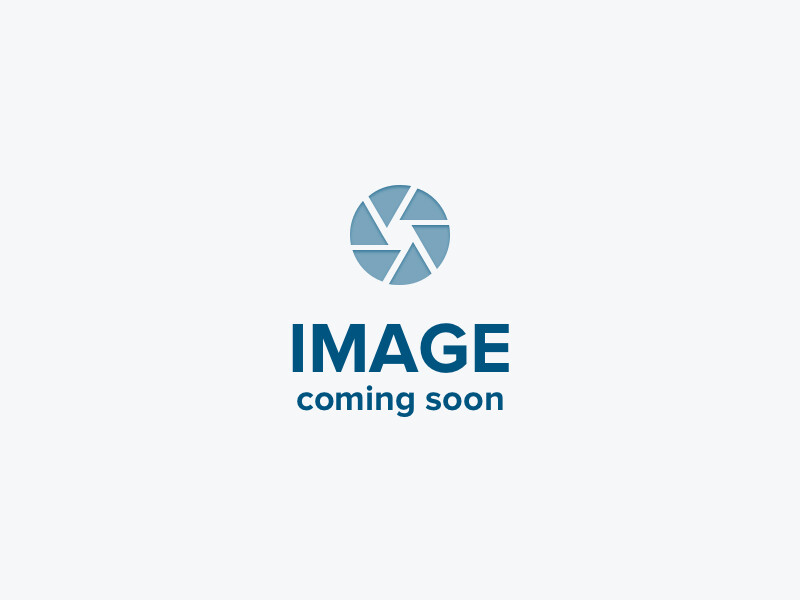 Chartered Institution of Building Services Engineers (CIBSE)